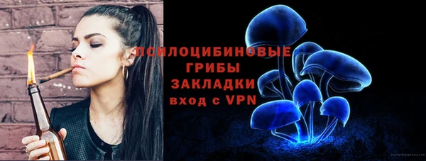 первитин Пестово