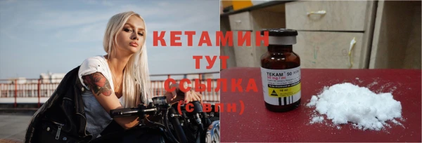 стаф Пересвет