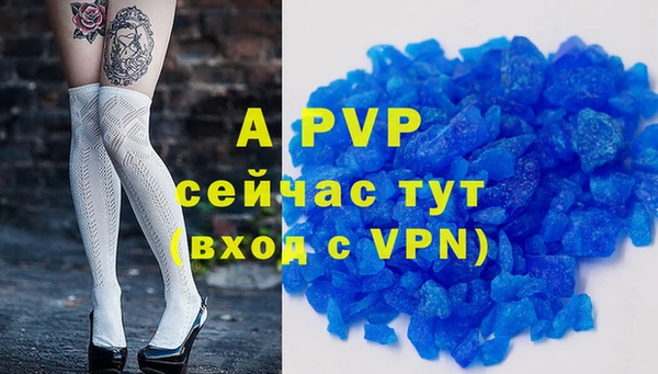 стаф Пересвет