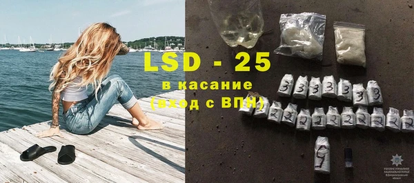 стаф Пересвет
