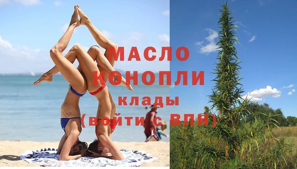 стаф Пересвет