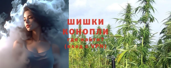 стаф Пересвет