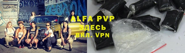 стаф Пересвет